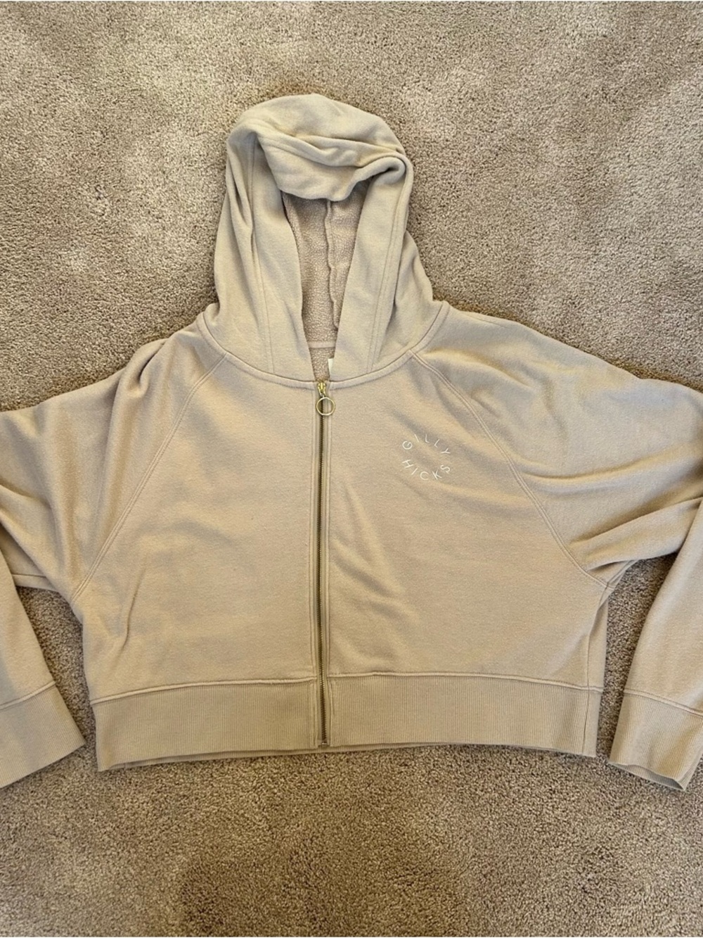 Gilly Hicks Cropped Zip Hoodie in Light Beige